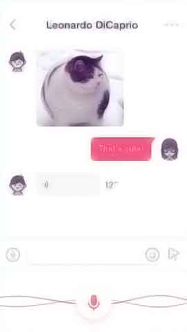 ddos压力测试平台软件程序维护界面